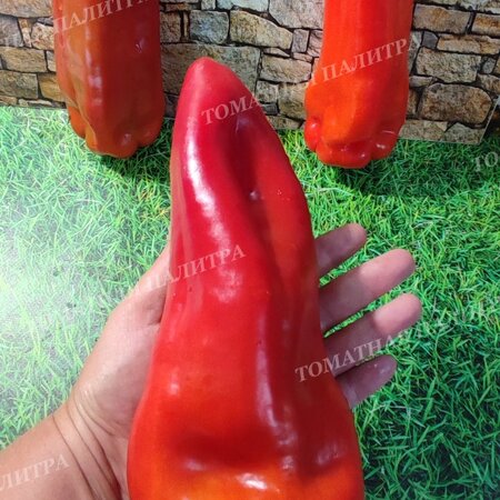 Томат Перец ТАЙФУН
