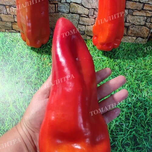 Томат Перец ТАЙФУН