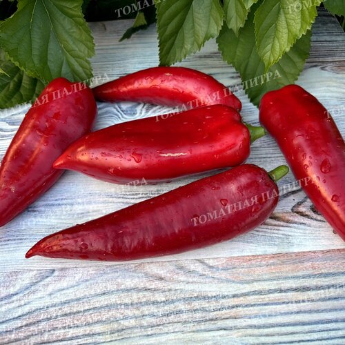 Томат Перец ТУРЕЦКИЙ ГИГАНТ (Turkish Giant), Турция.