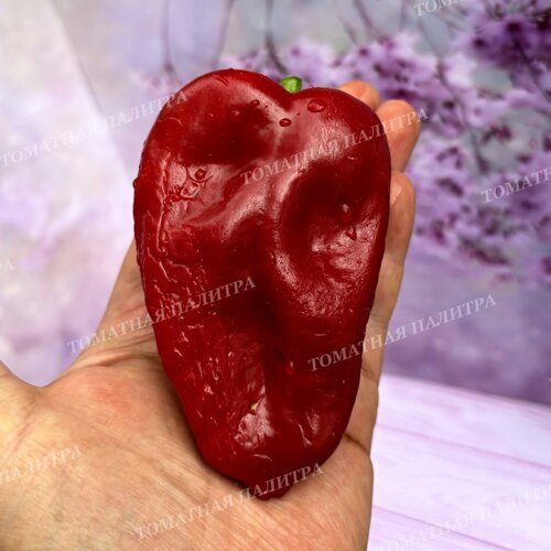 Томат Перец полуострый АЛЬ-БАБ (Al-Bab), Сирия.