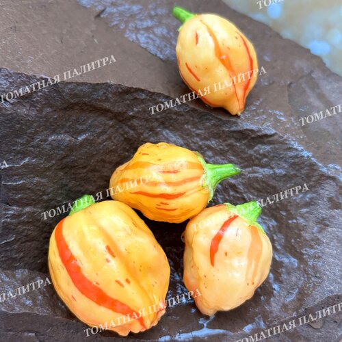 Томат Перец острый ПЕППА ПИЧ СТРАЙПЕЙ (Peppa Peach Stripey)