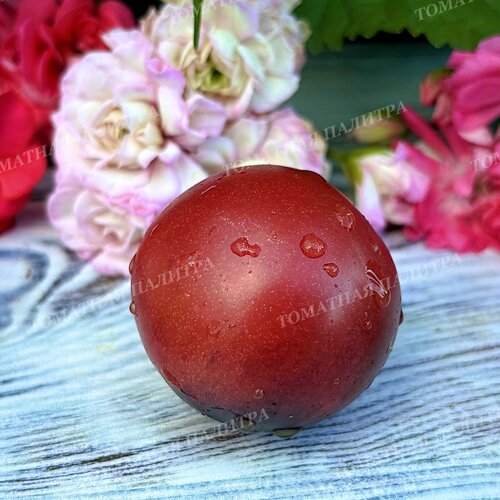 Томат ГНОМ ГОНДВАНА РОЗА (Dwarf Gondvana Rose), Австралия.