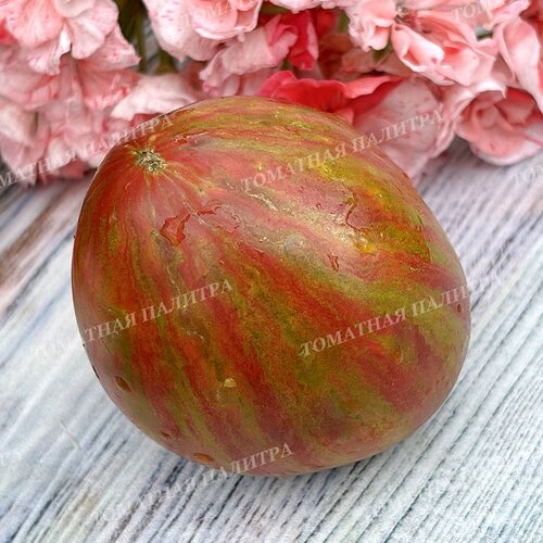 Томат ВОЛШЕБНАЯ РАДУГА