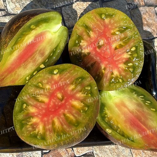 Томат ИЗУМРУДНАЯ КАРАМЕЛЬ ЕЛЕНЫ