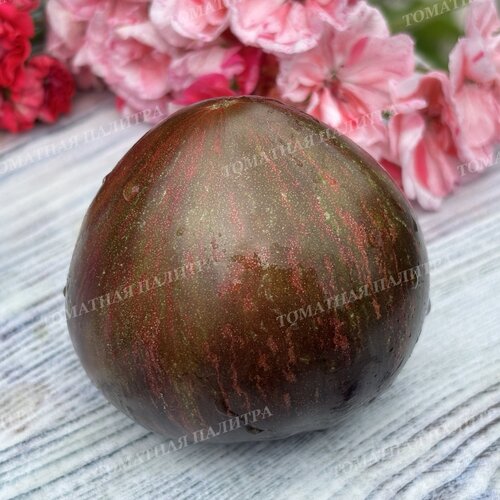 Томат САЛЮТ ВИКТОРИИ