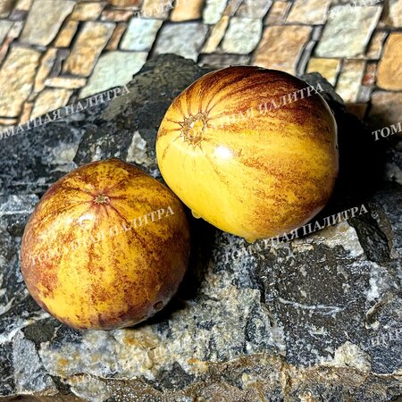 Томат ОЧЕНЬ СЛАДКИЙ БЛЮЗ