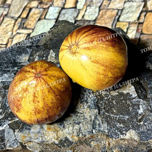 Томат ОЧЕНЬ СЛАДКИЙ БЛЮЗ