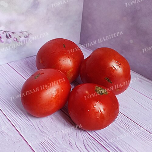 Томат ДАНА К