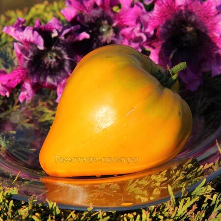Томат Оранжевая Клубника (Orange Strawberry), США
