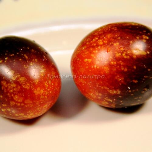 Томат Тёмная галактика (Dark Galaxy), США