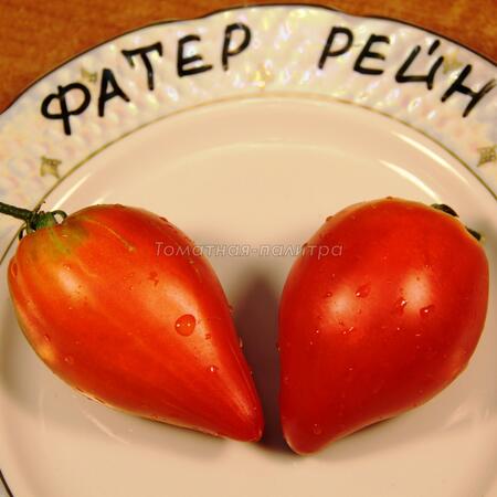 Томат Фатер Рейн / Отец Рейн (Vater Rhein), Германия