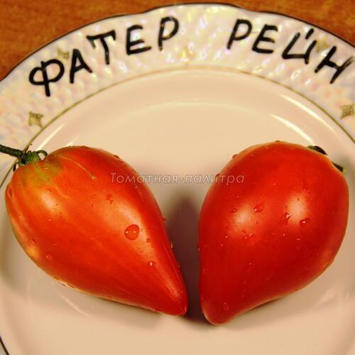 Томат Фатер Рейн / Отец Рейн (Vater Rhein), Германия