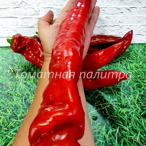 Томат Перец РАМИРО КРАСНЫЙ
