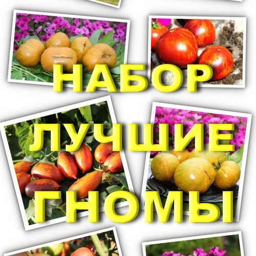 Томат Набор ЛУЧШИЕ ГНОМЫ