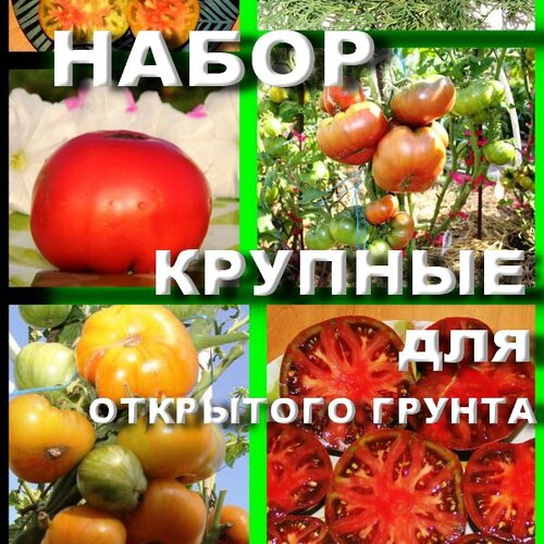Томат Набор КРУПНЫЕ ДЛЯ ОТКРЫТОГО ГРУНТА