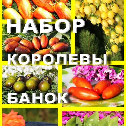 Томат Набор КОРОЛЕВЫ БАНОК