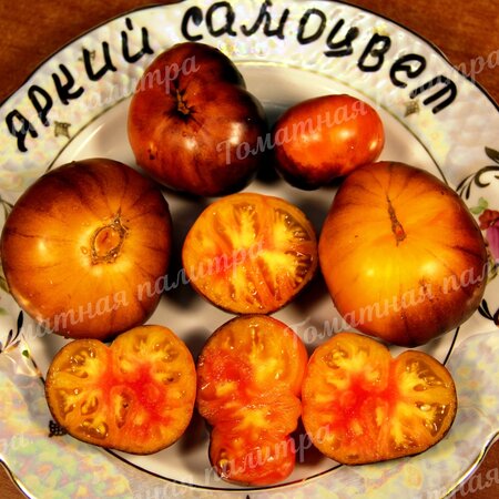 Томат ЯРКИЙ САМОЦВЕТ / ЛЮСИ ДЖЕМ / НАСТОЯЩАЯ ДРАГОЦЕННОСТЬ (Lucid Gem) 
