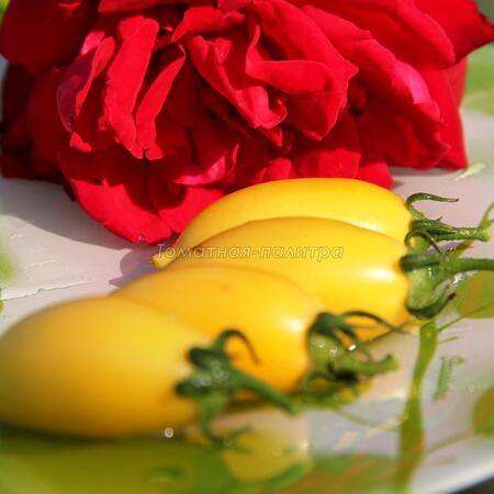Томат Кремовая сосиска/ Банана Крем (Cream Sausage / Banana Cream), США