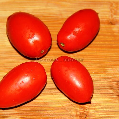 Засолочные сорта томатов - Томатная палитра