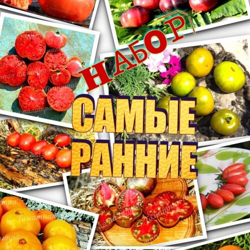 Томат Набор САМЫЕ РАННИЕ