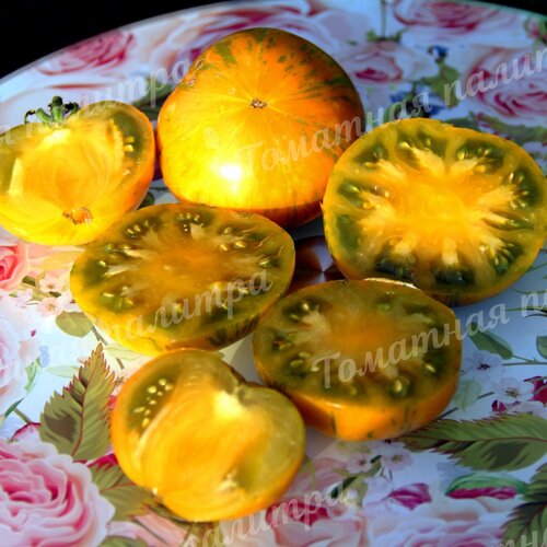 Томат ОРАНЖЕВЫЙ ГАББАНА (Orange Ghabbana), США